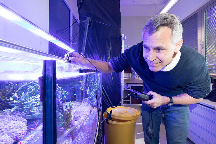 Macht sich stark für die Forschung an Riffen in trüben Gewässern: Prof. Dr. Christian Wild von der Universität Bremen.