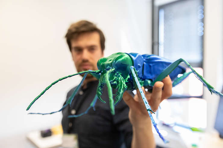Überlebensgroß: 3D-Modell eines Insekts