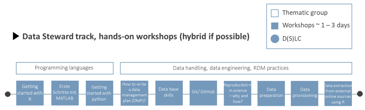 Figure showing the workshops of the Data Steward Track of the Data Train program.